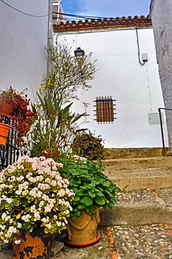 Hostal Moncada Gaucín Kültér fotó